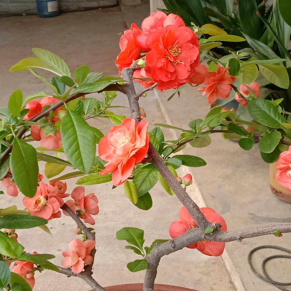 日照市金土水泥制品厂