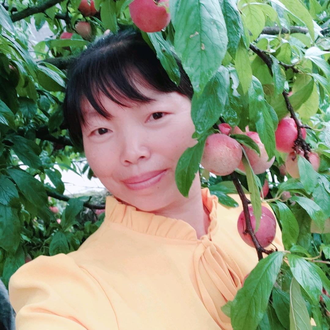 独自飘泊