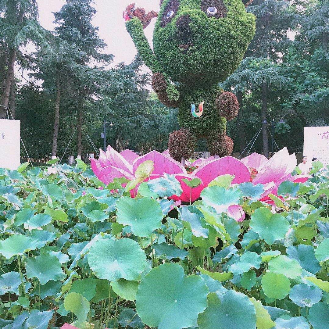 60后的记忆