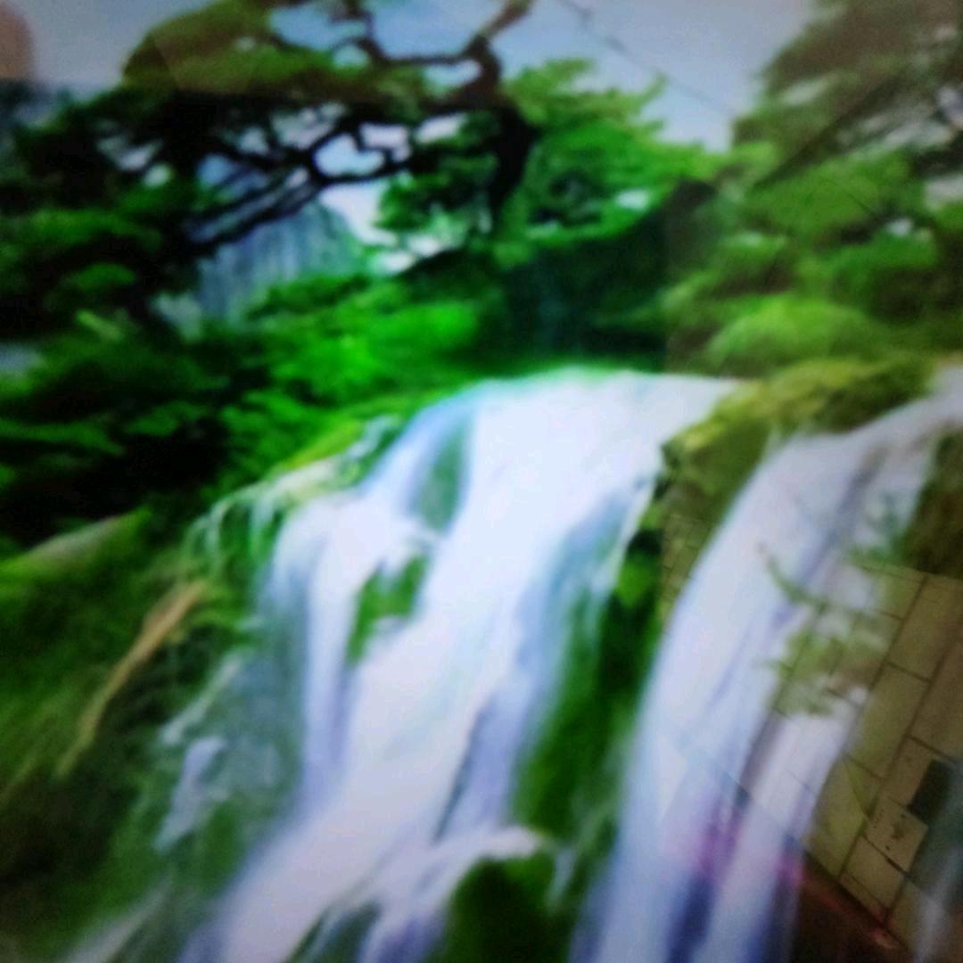 🐇阳光 明媚🐏