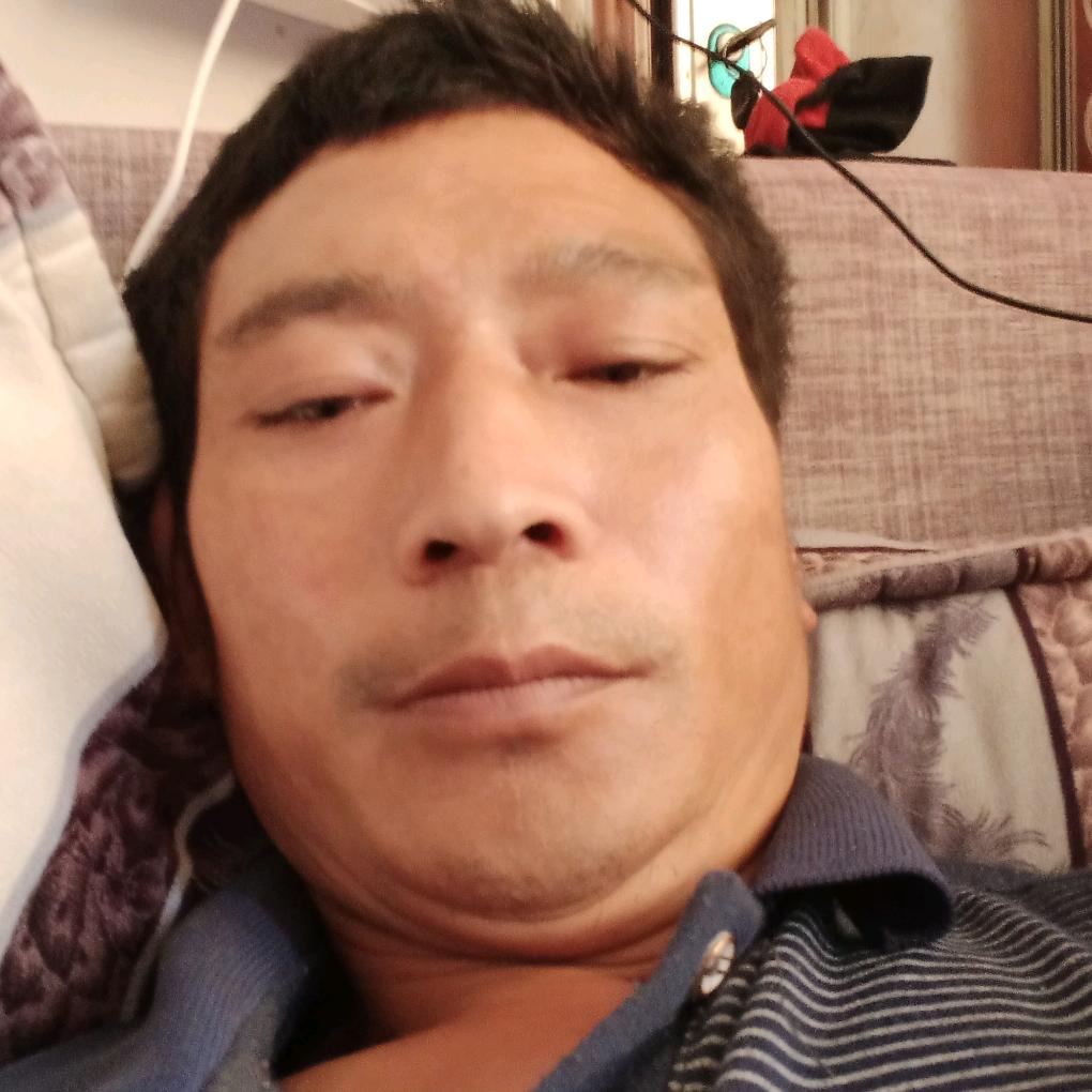 春天花朵红红艳艳
