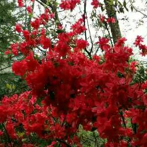 快🌴乐🎄之家