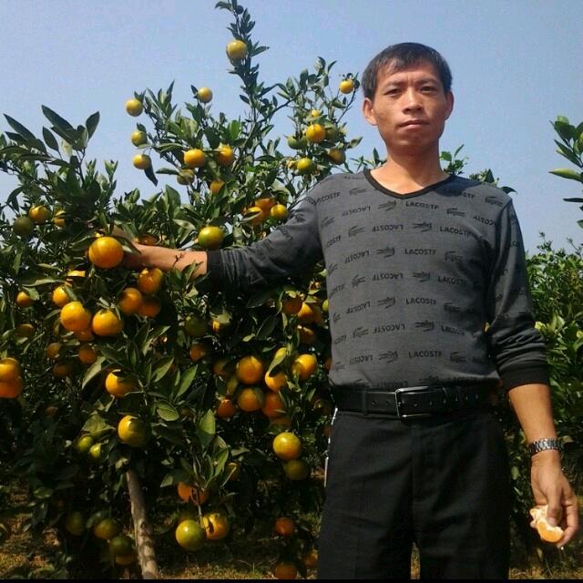 文哥收藏