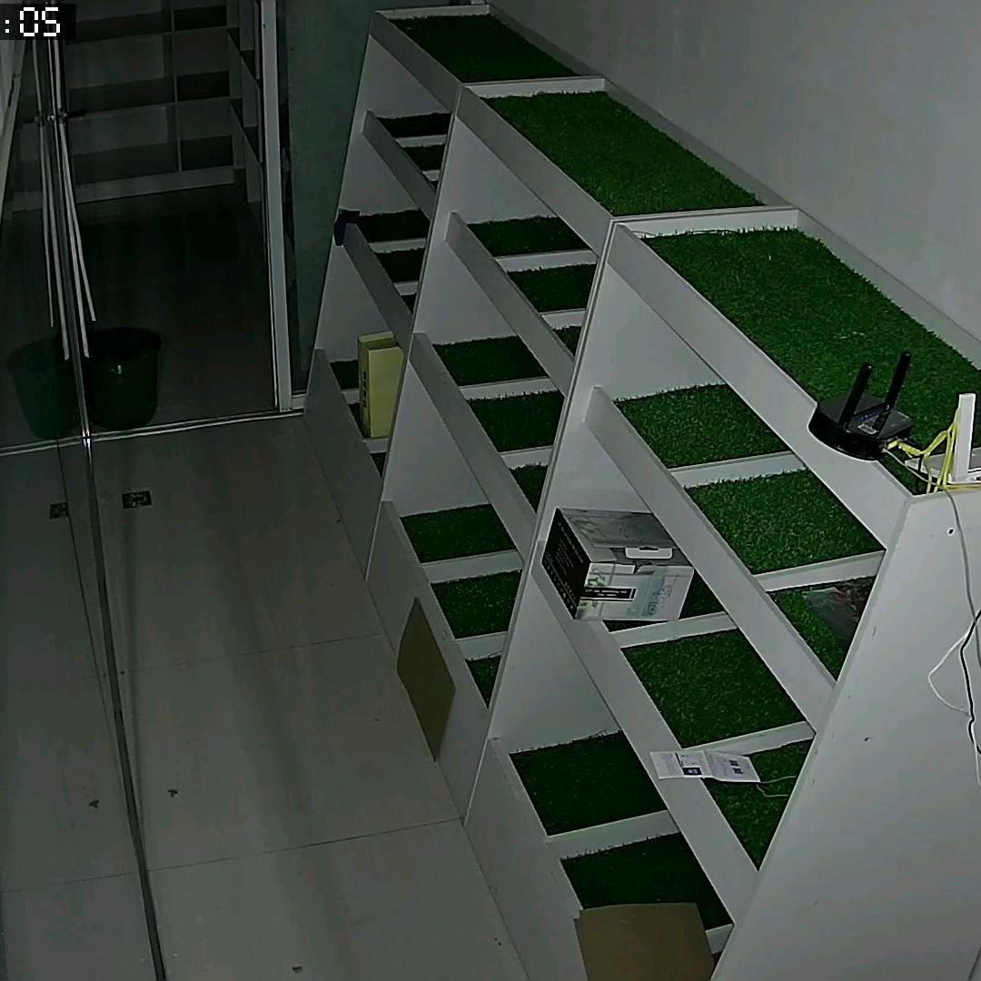 笨鸟驿站