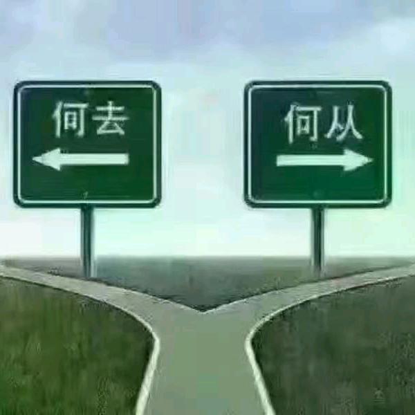 妳的生活✨我的梦