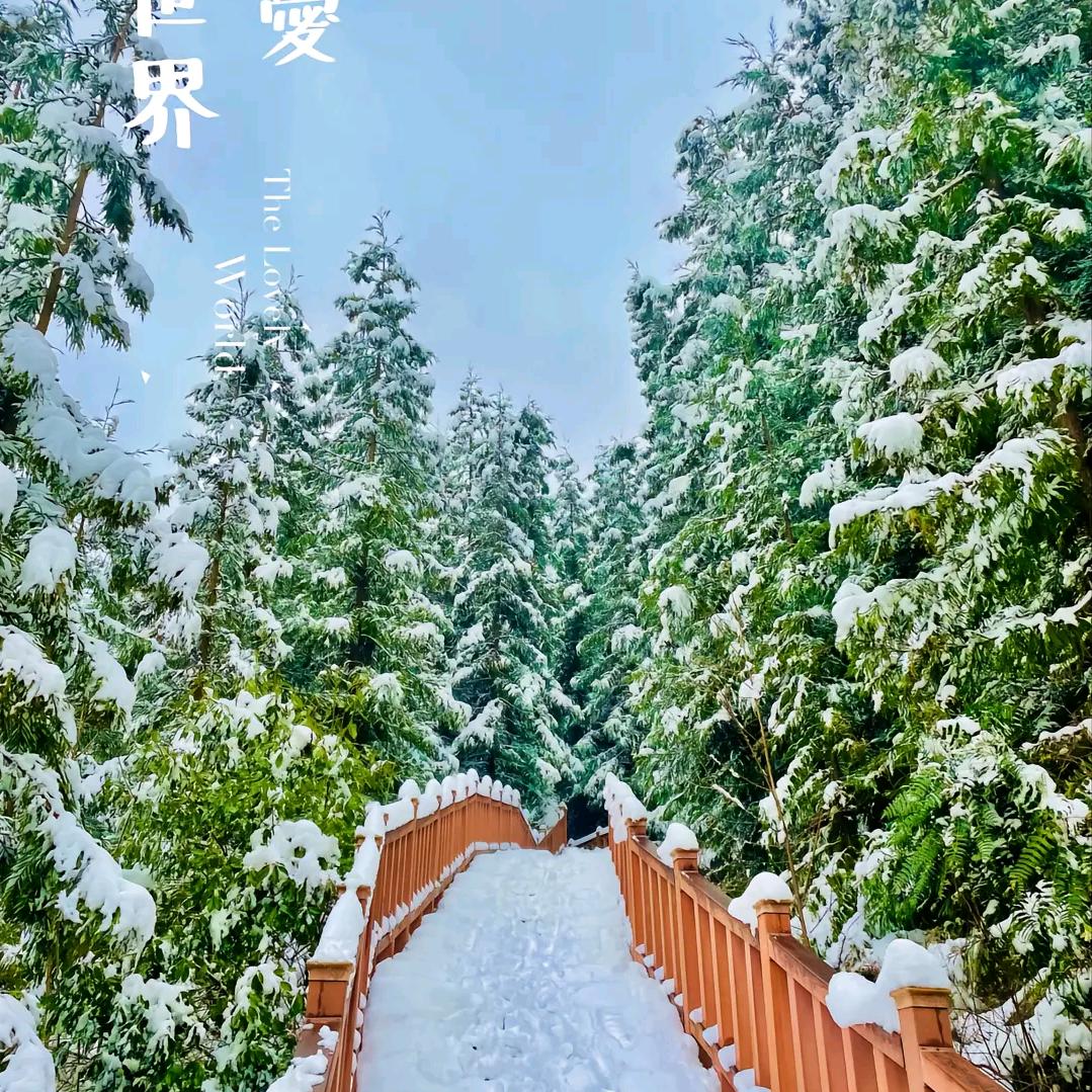 爱不需要任何理由