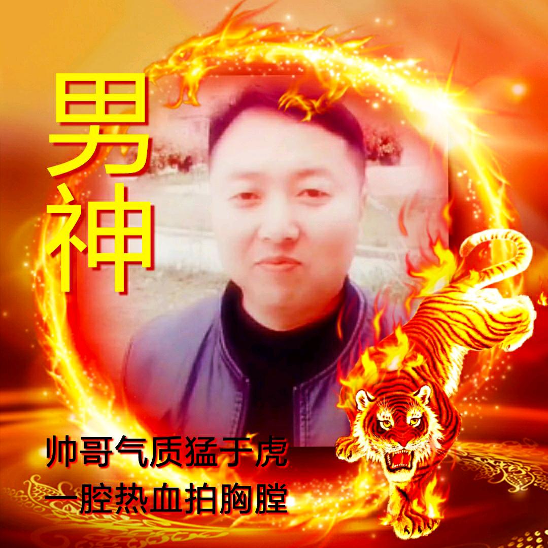 宝哥