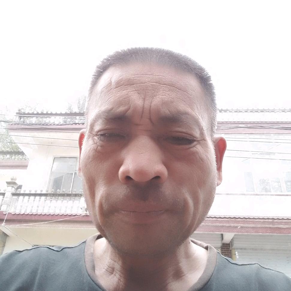 春天的太阳