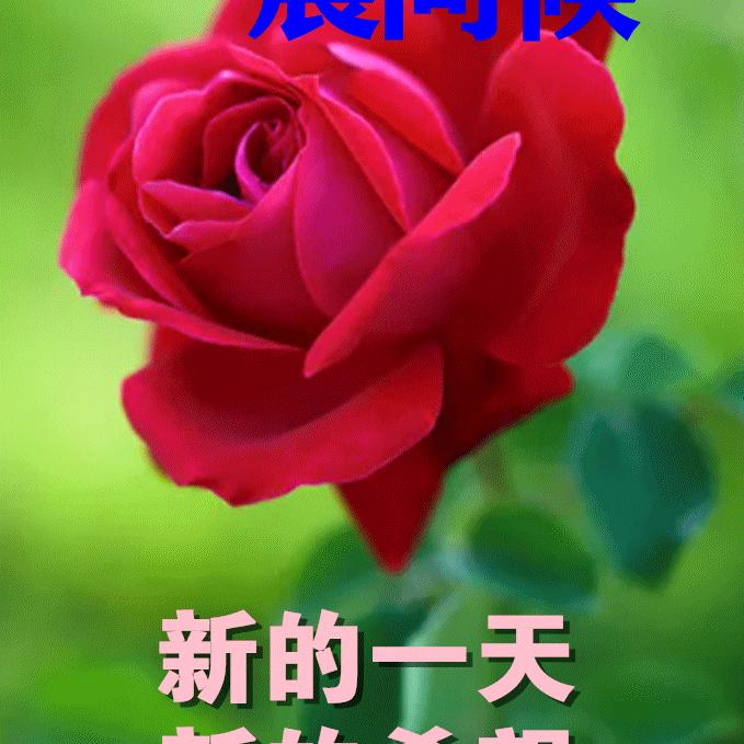 城中一家人