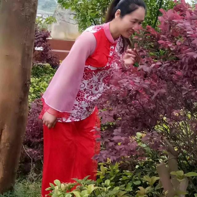 绿叶对根的情深