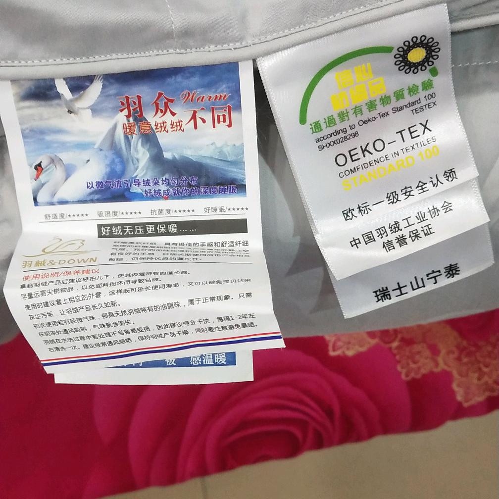 红尘有梦……浮生无涯