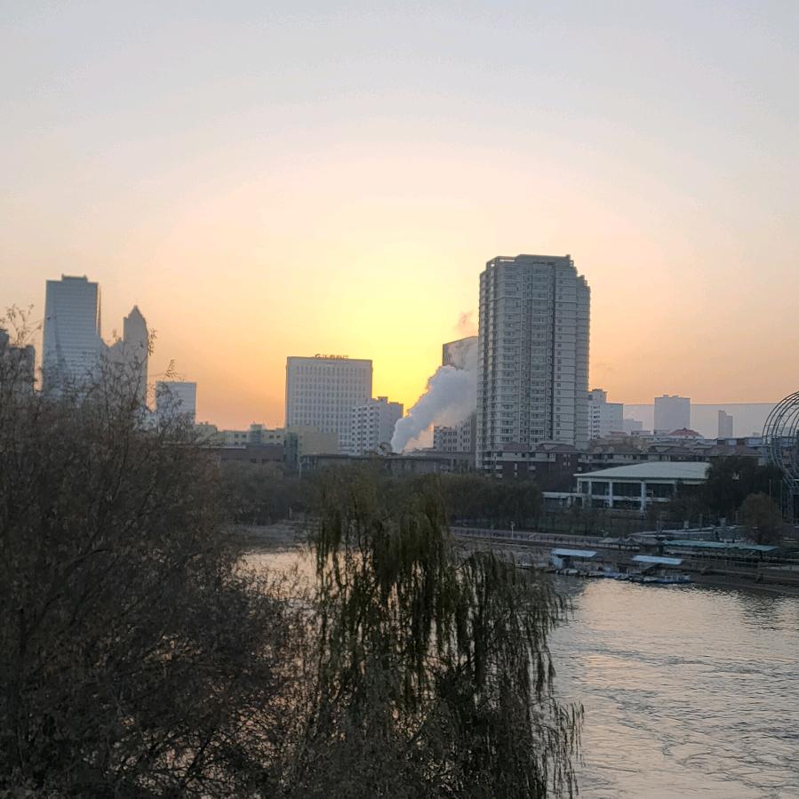 枫叶潇潇