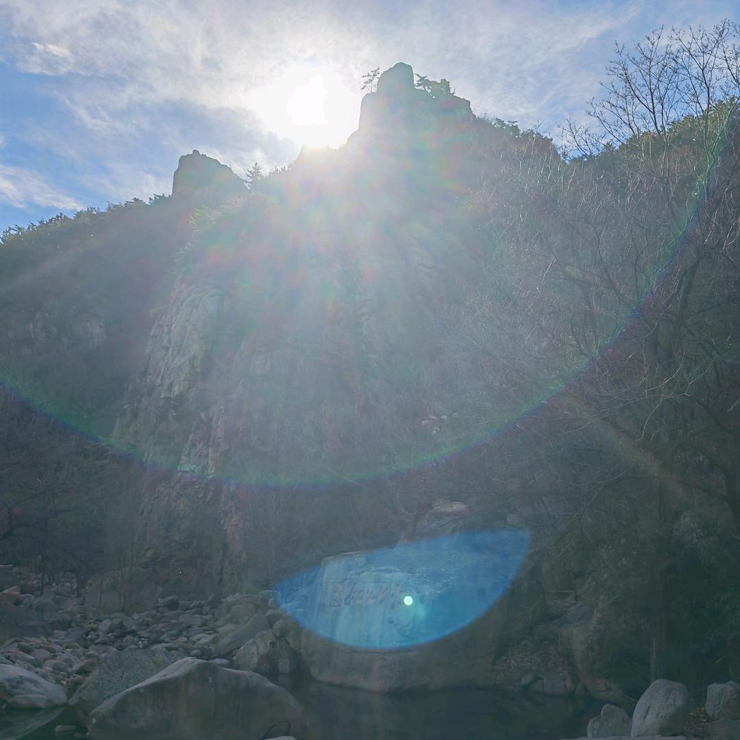 师羽