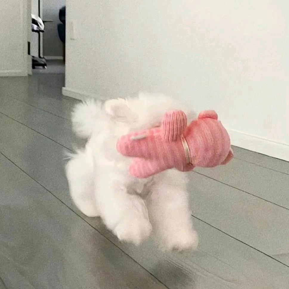 晚晚晚