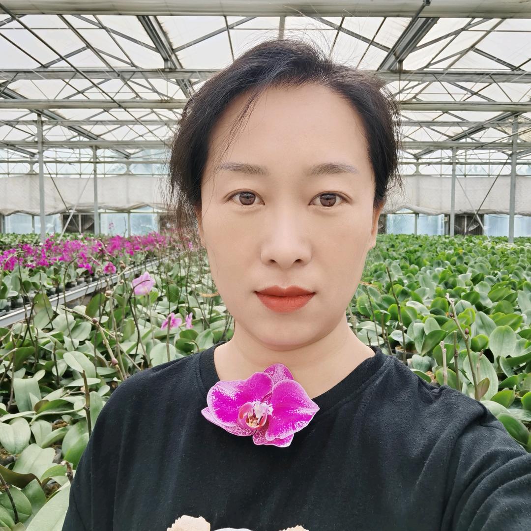 大同蝴蝶兰基地