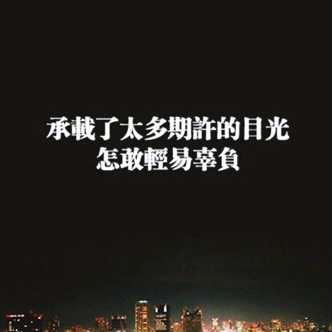 宸宝