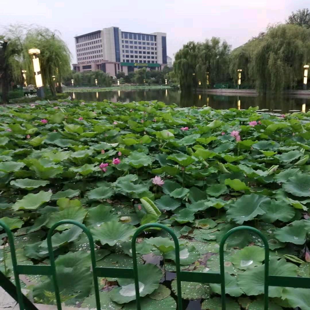 玩的就是心跳(❤️品选)