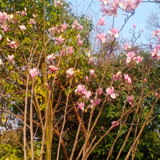 开心就好啦了嘛