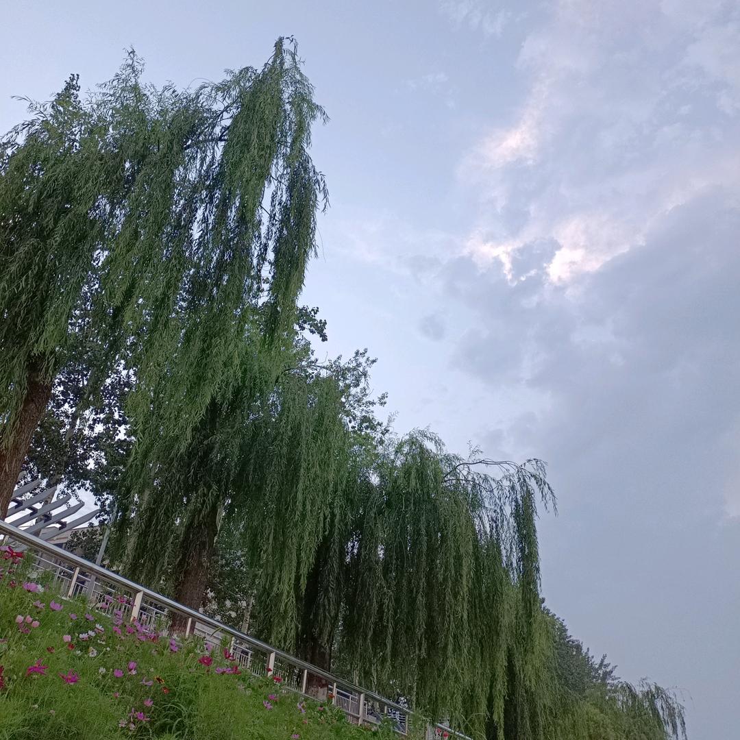 *^_^*勇往直前*^_^*