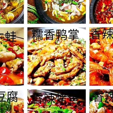 天空中自由飞翔