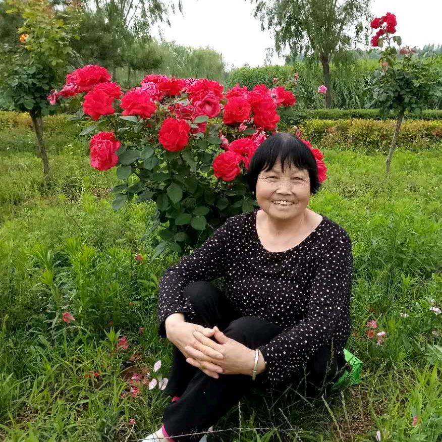玲玲