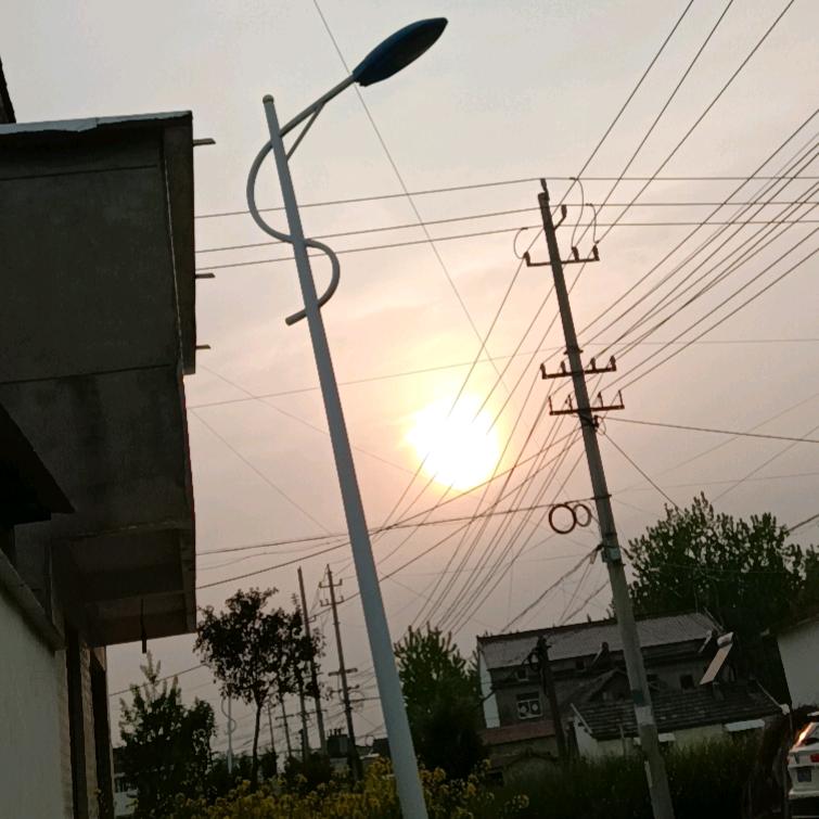 费延涛