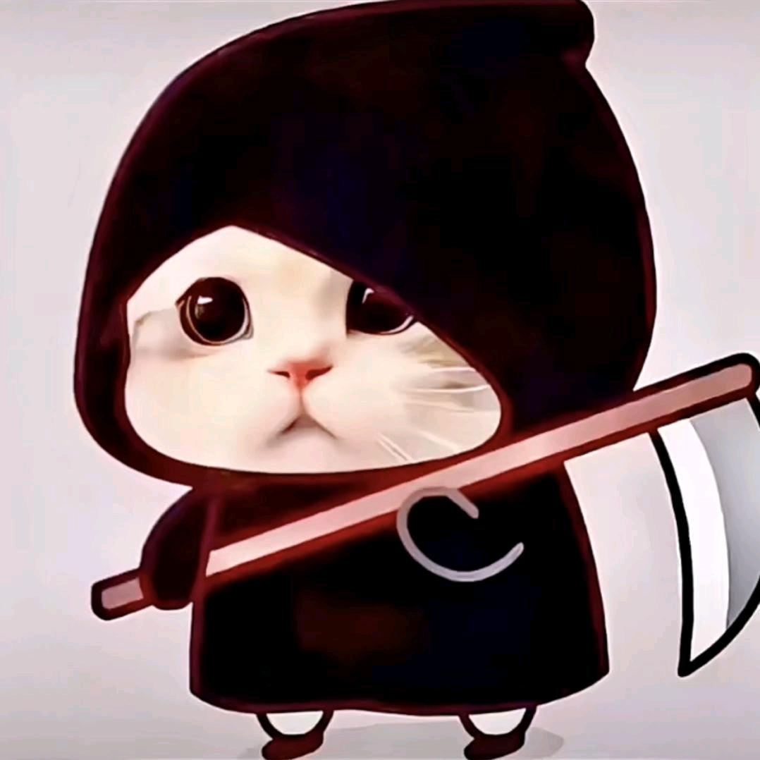 小刘带你吃遍全世界