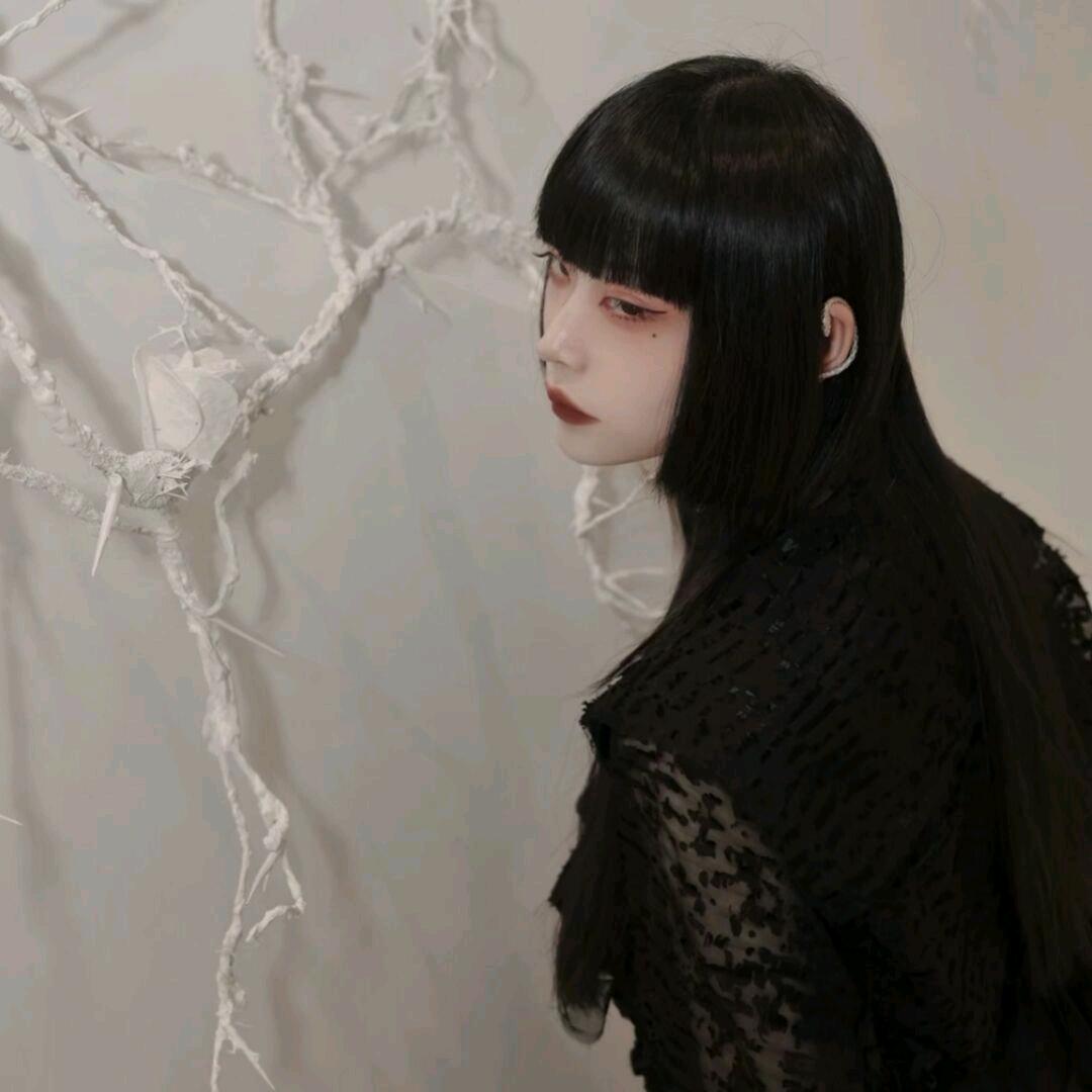 三年模拟，五年修仙