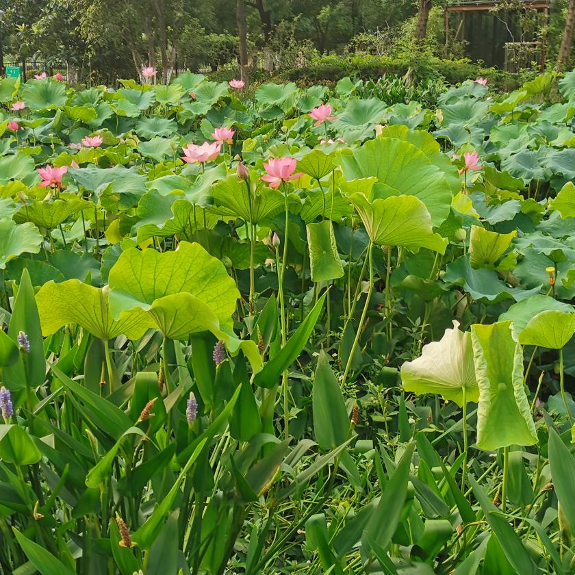 一生有你