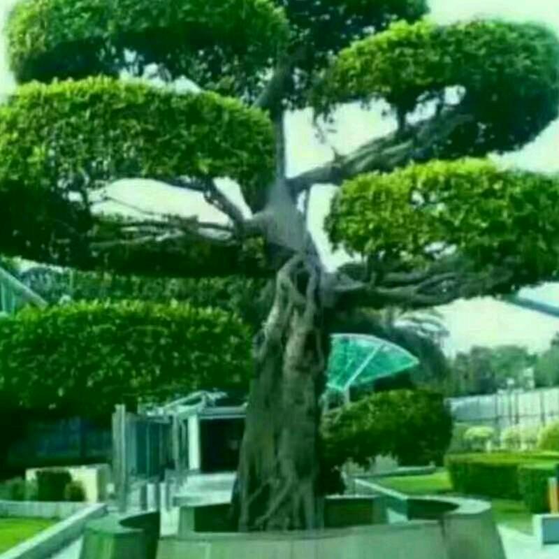 開心快樂每一天