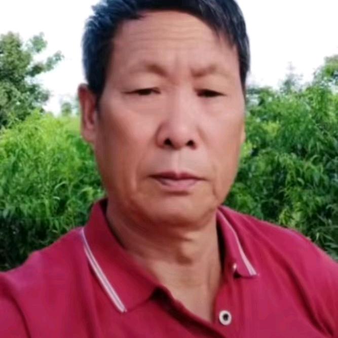 自由飞翔