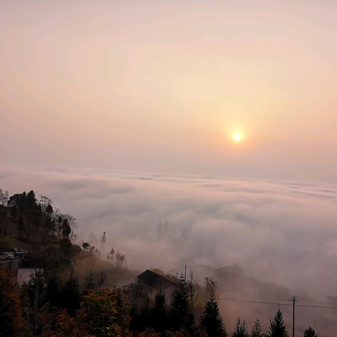 热爱生活的小杨