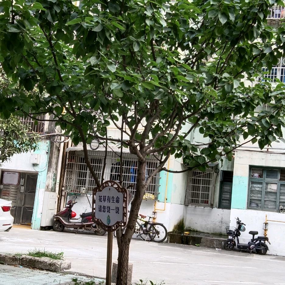 漫漫人生路走好每一步