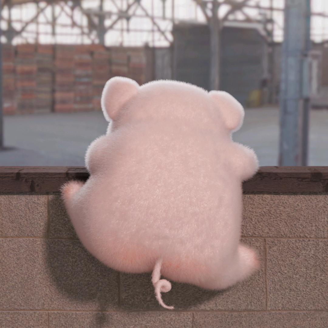 皮皮敦