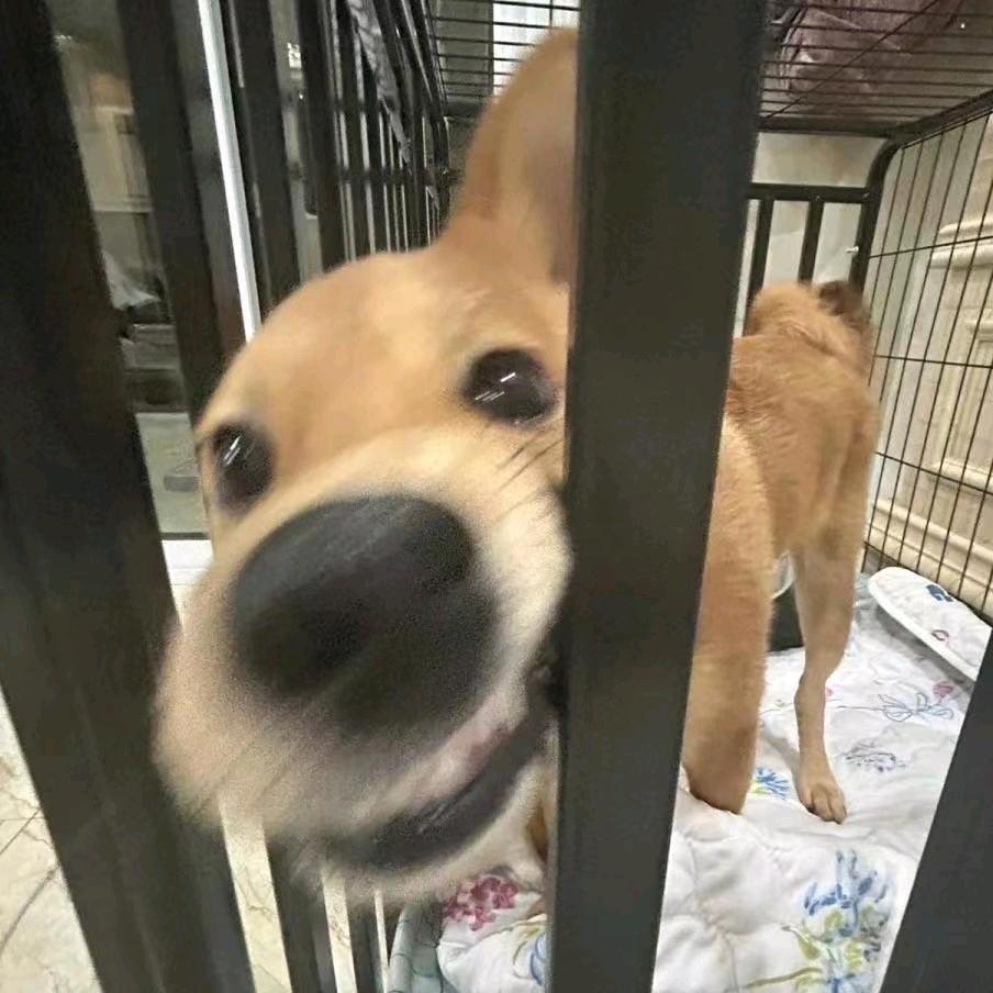 等等啡