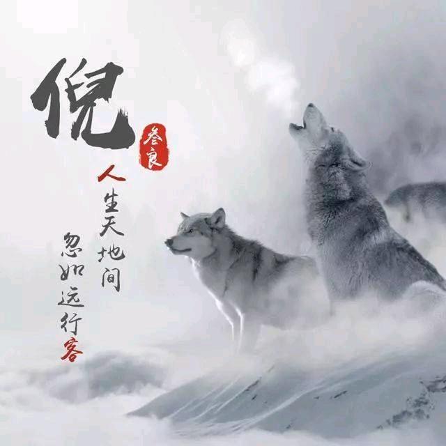 《戒不掉的酒》