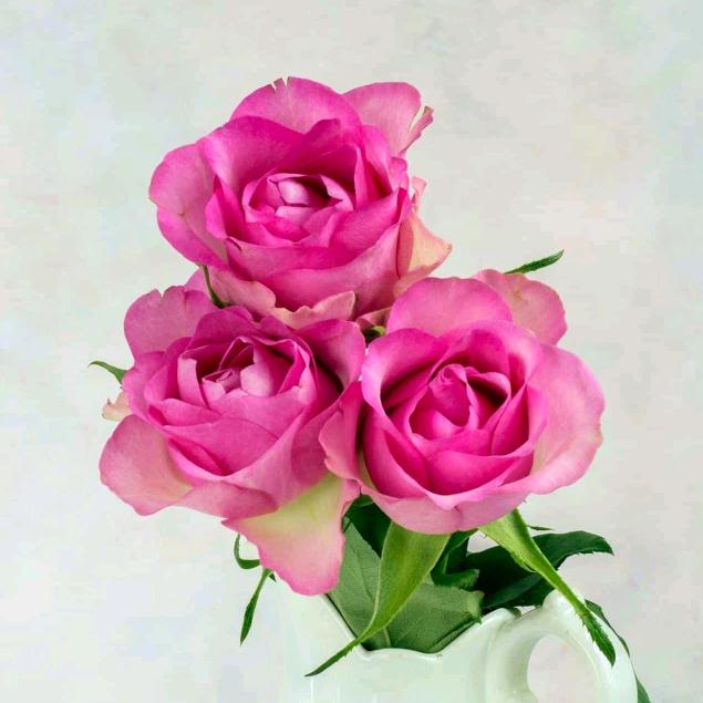 知足常乐（68）