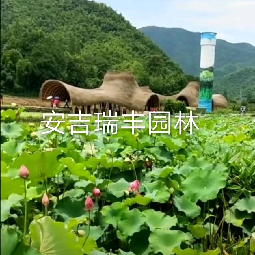 竹木建筑