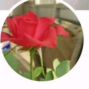 鹿儿分享日常生活。