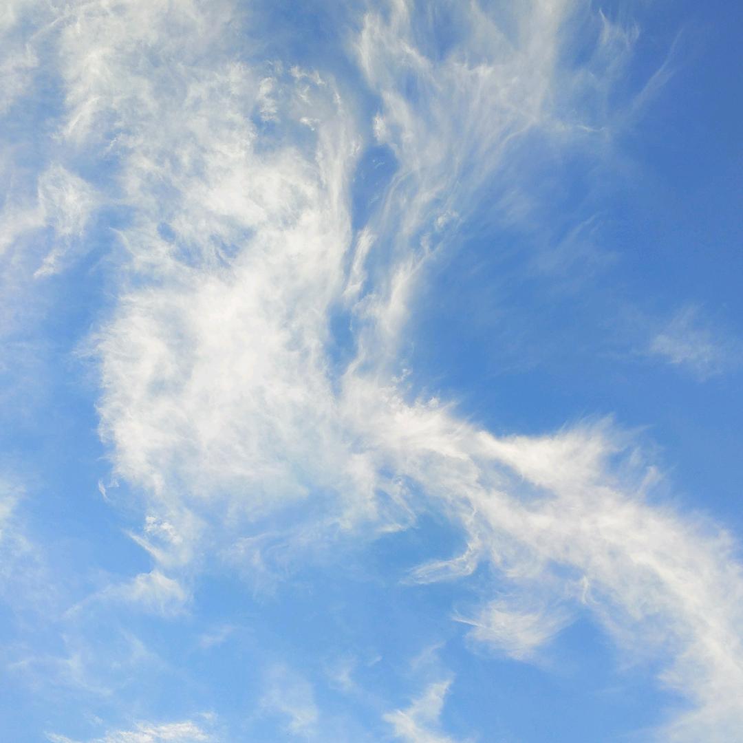 明