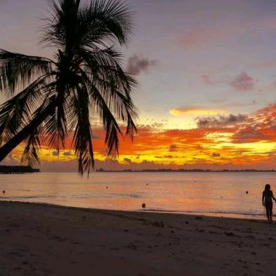 以撒（内外墙装修）