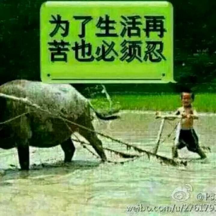 辛苦人