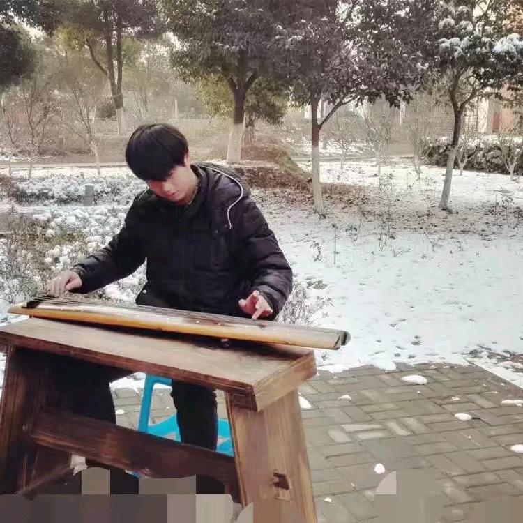 学历提升沈老师