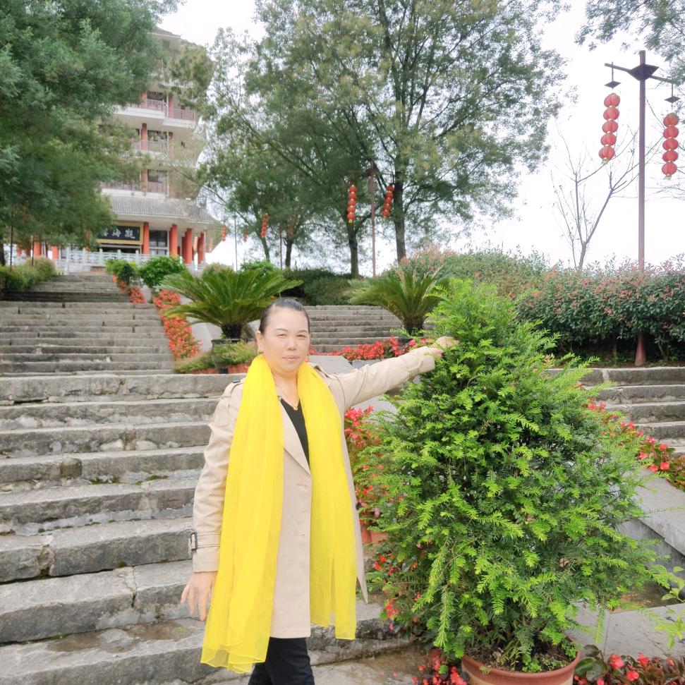肖安芬