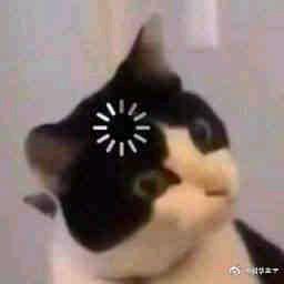 ૮꒰˶ฅ́˘ฅ̀˶꒱ა