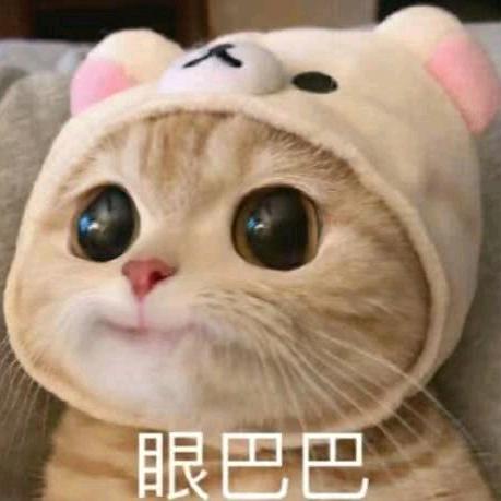 书币
