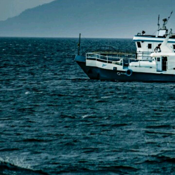 牡丹开心不真。君子来无心彩