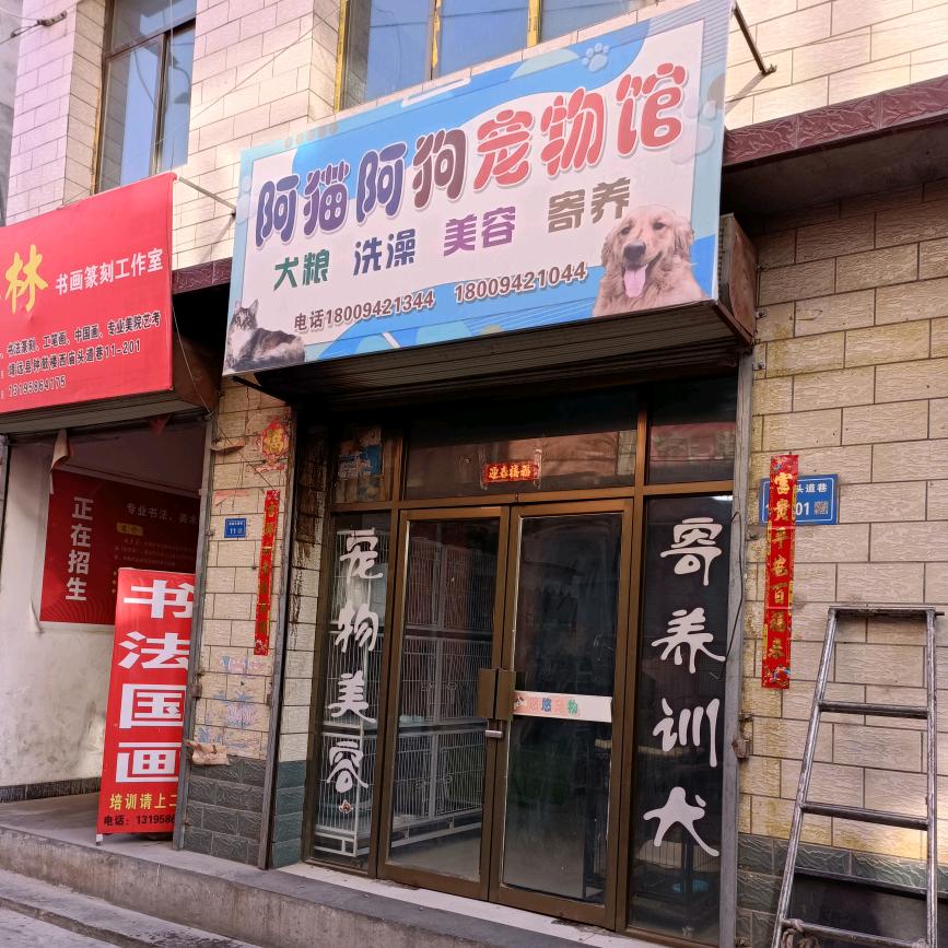 靖远阿猫阿狗撸猫馆