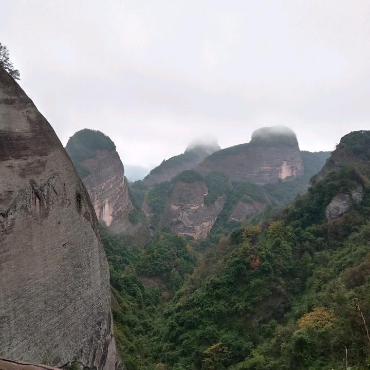 小小轩🌻🌻