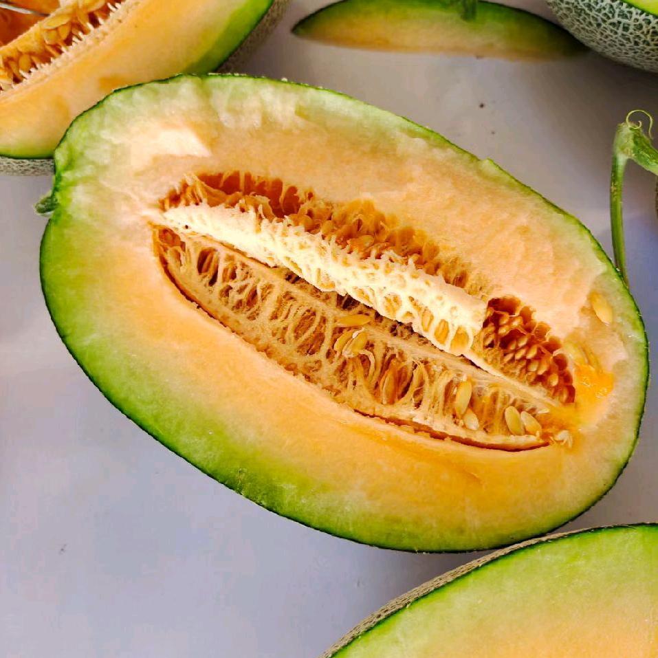 海南哈密瓜（零垚木业有限公司）